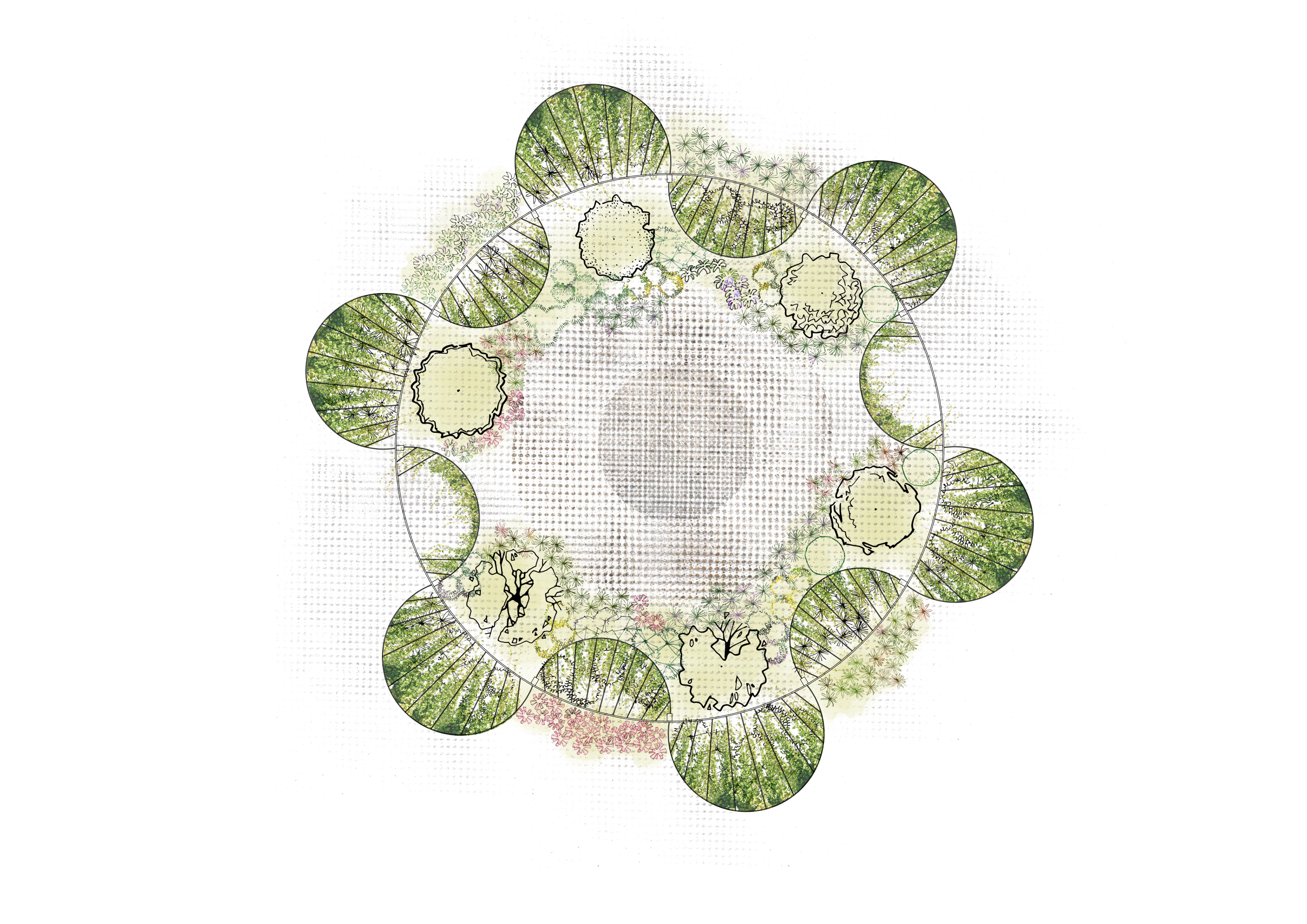 Competition, Radicepura Garden Festival, Loop’n the Edge